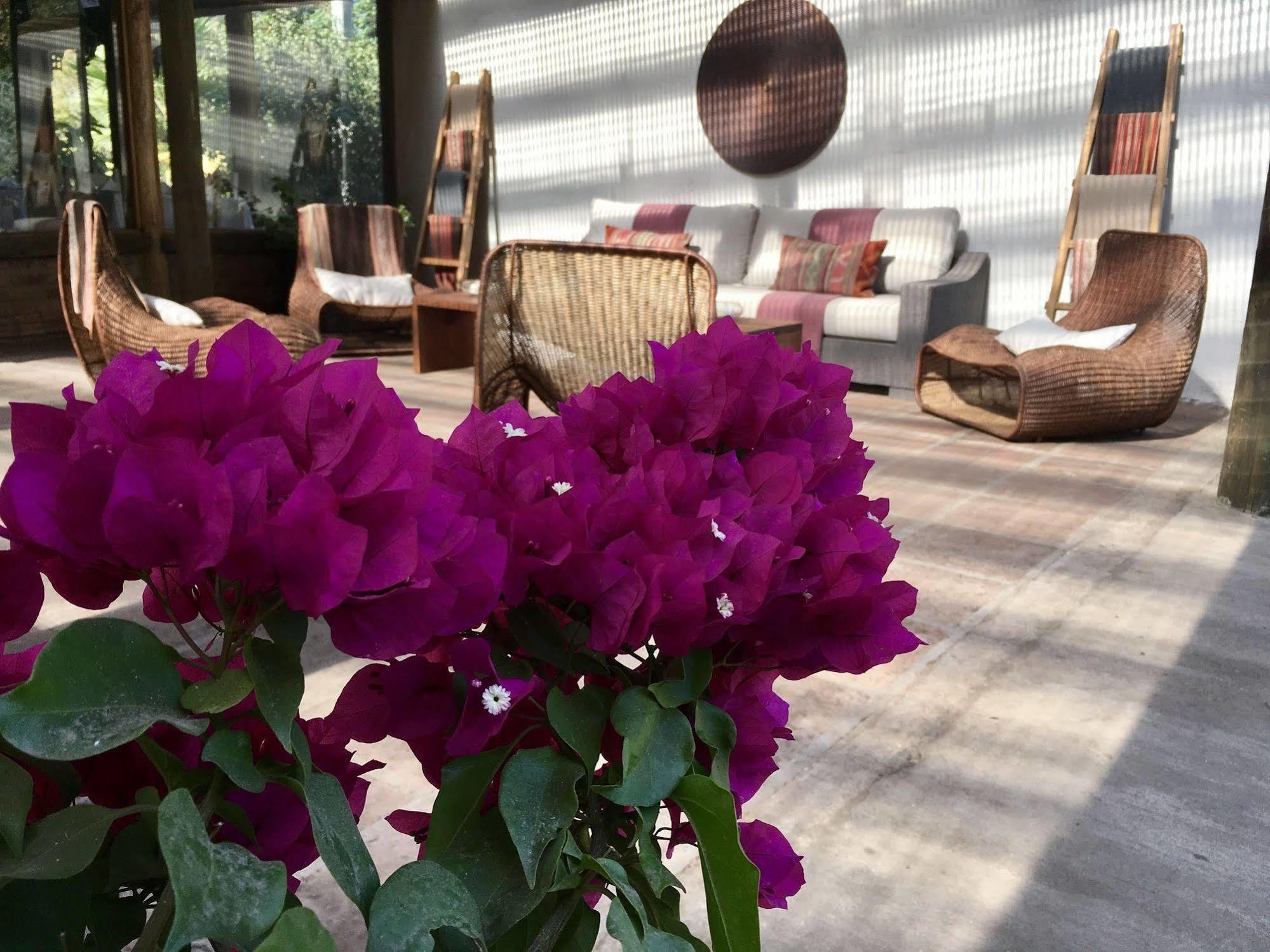 Hotel Casa De Campo Santa Cruz Ngoại thất bức ảnh